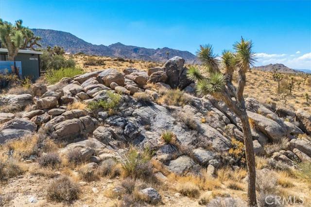 Joshua Tree, CA 92252,62676 Quail Springs Road