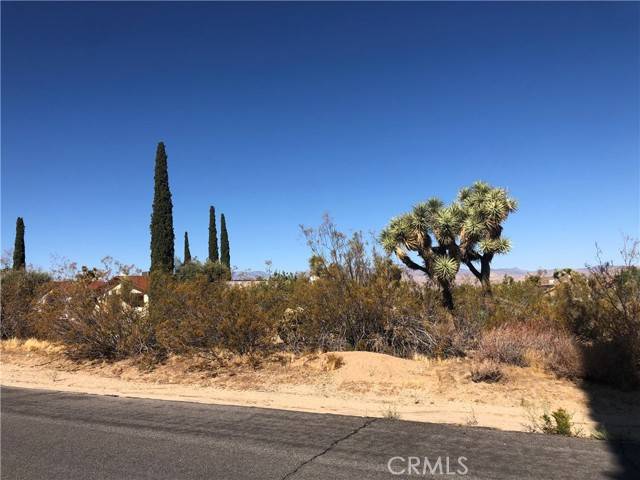 Yucca Valley, CA 92284,58310 Lisbon