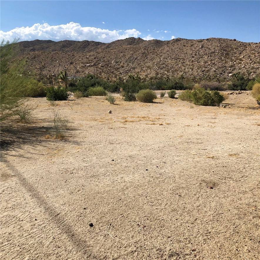 Yucca Valley, CA 92284,56926 SUNNYSLOPE TER