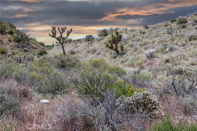 Yucca Valley, CA 92284,54129 Pinon