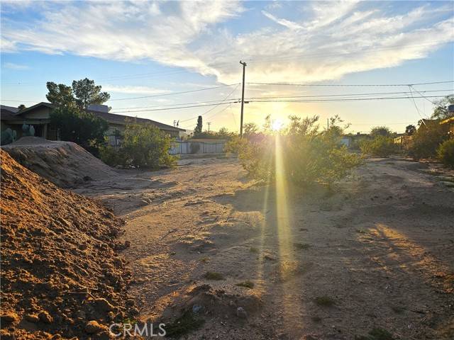 29 Palms, CA 92277,6180 Chia