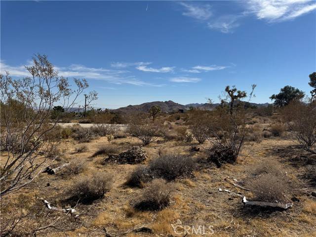 Joshua Tree, CA 92252,7217 Sunny Vista