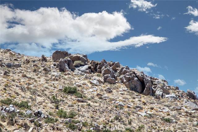 Joshua Tree, CA 92252,60300 Mountain