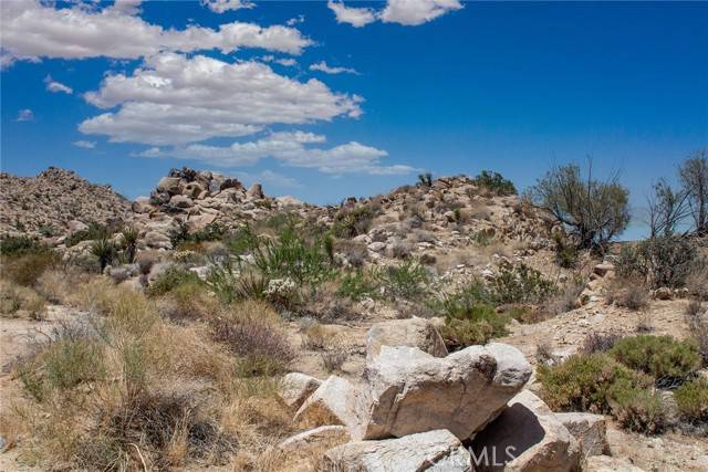 Joshua Tree, CA 92252,60300 Mountain