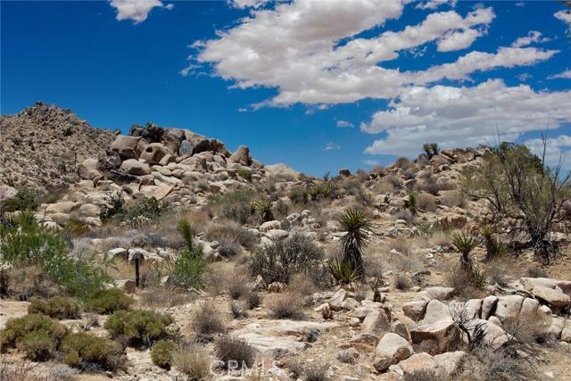 Joshua Tree, CA 92252,60300 Mountain