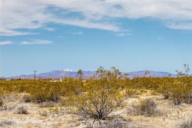 Joshua Tree, CA 92252,2830 Bonair