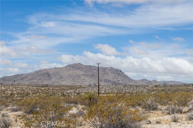 Joshua Tree, CA 92252,2830 Bonair