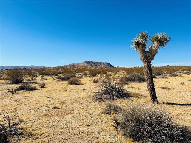 Joshua Tree, CA 92252,24 Avenida Del Sol