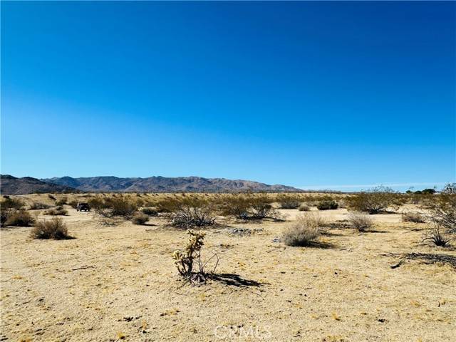 Joshua Tree, CA 92252,5 Border