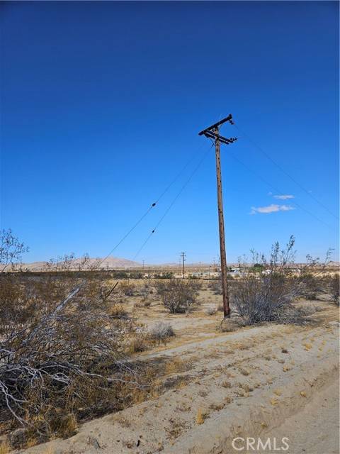 Joshua Tree, CA 92252,0 California