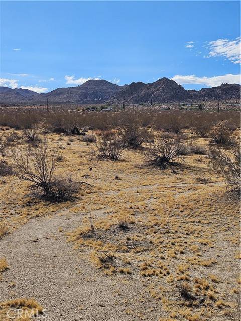 Joshua Tree, CA 92252,0 Twentynine Palms