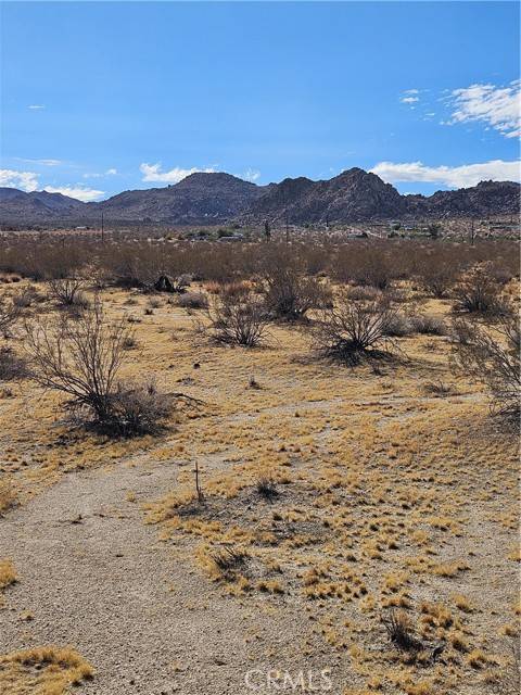 Joshua Tree, CA 92252,0 Twentynine Palms