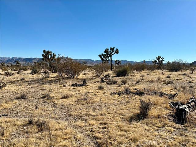 Yucca Valley, CA 92284,4726 Paradise View