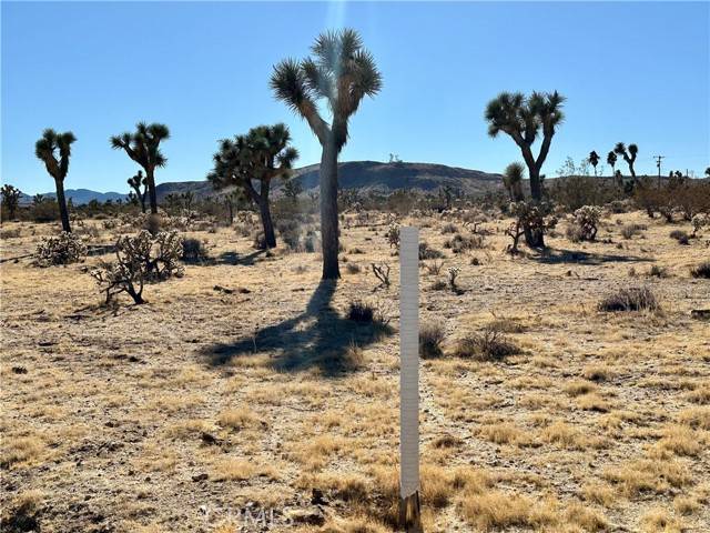 Yucca Valley, CA 92284,4726 Paradise View