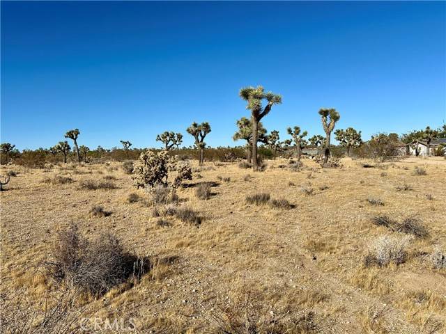 Yucca Valley, CA 92284,4726 Paradise View