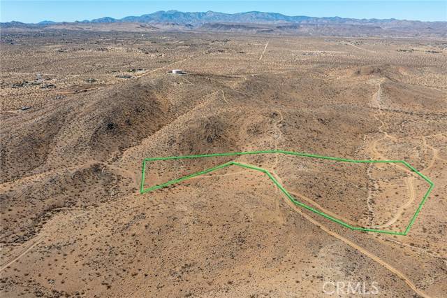 Yucca Valley, CA 92285,1000 Millie