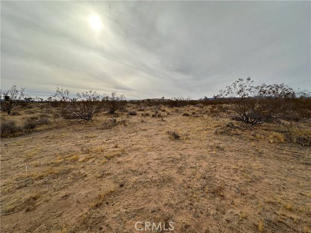 Yucca Valley, CA 92284,1 Canterbury