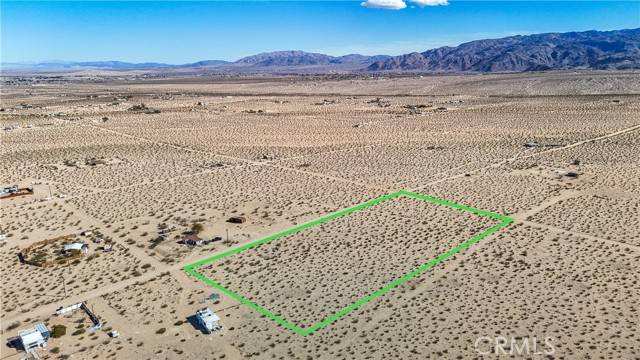 29 Palms, CA 92277,1 Nandina