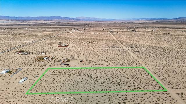 29 Palms, CA 92277,1 Nandina