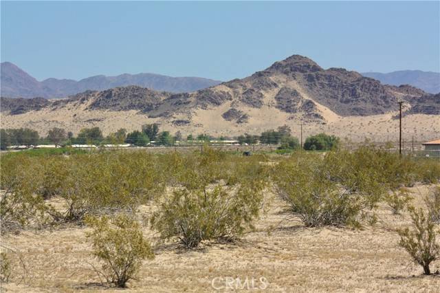 29 Palms, CA 92277,0 Desert Queen