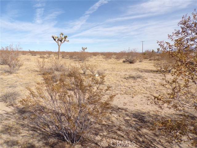 Joshua Tree, CA 92252,0 Foxy Flats