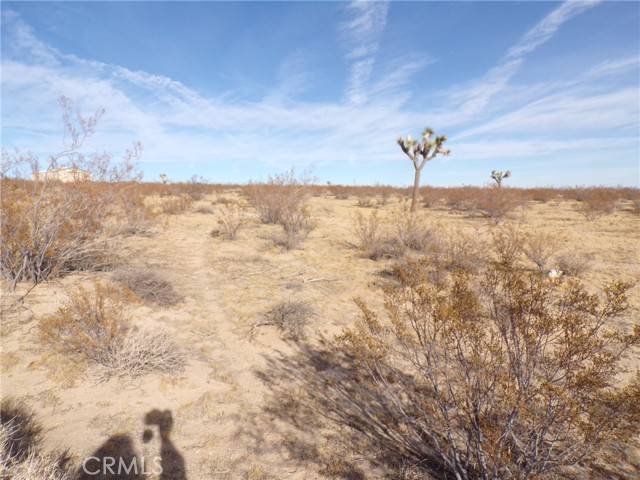 Joshua Tree, CA 92252,0 Foxy Flats