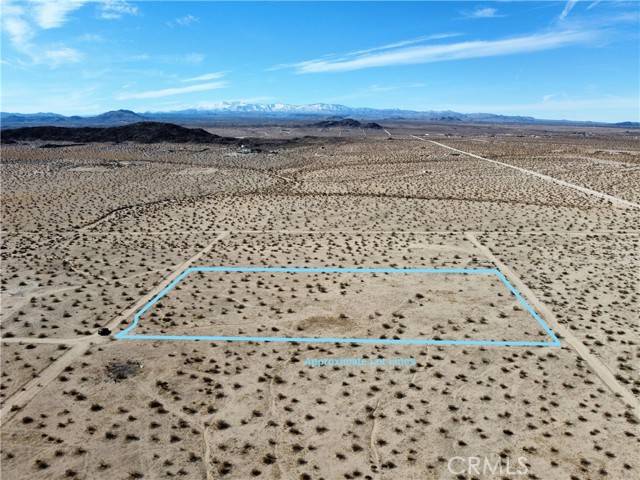Joshua Tree, CA 92252,46 Desert Lily
