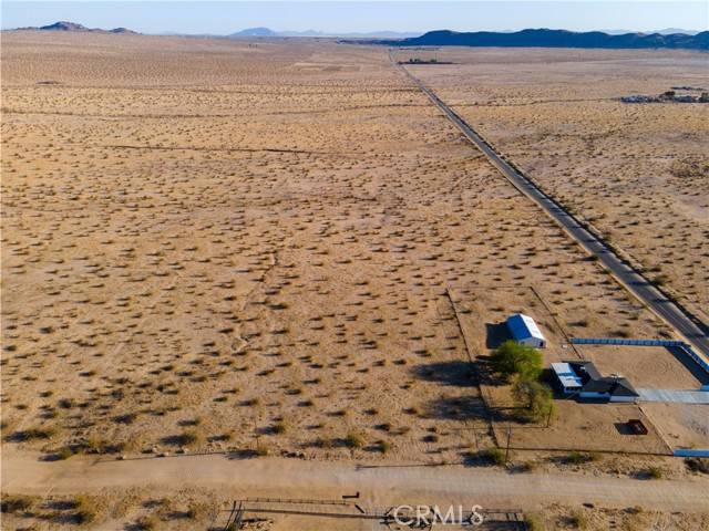 Joshua Tree, CA 92252,0 Sunflower