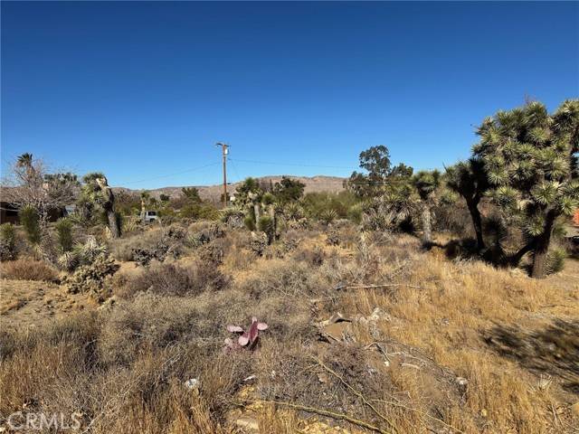 Yucca Valley, CA 92284,56434 Desert Gold