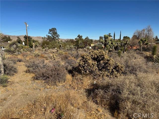 Yucca Valley, CA 92284,56434 Desert Gold