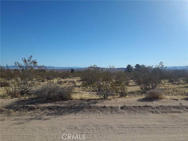 Yucca Valley, CA 92284,345 Deer
