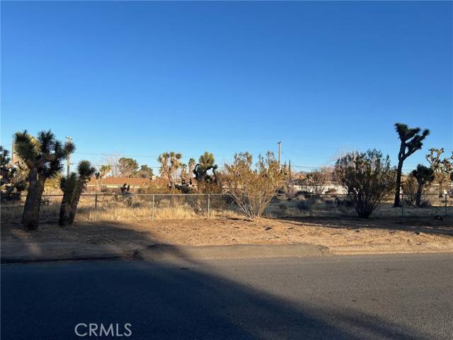 Yucca Valley, CA 92284,0 Deer