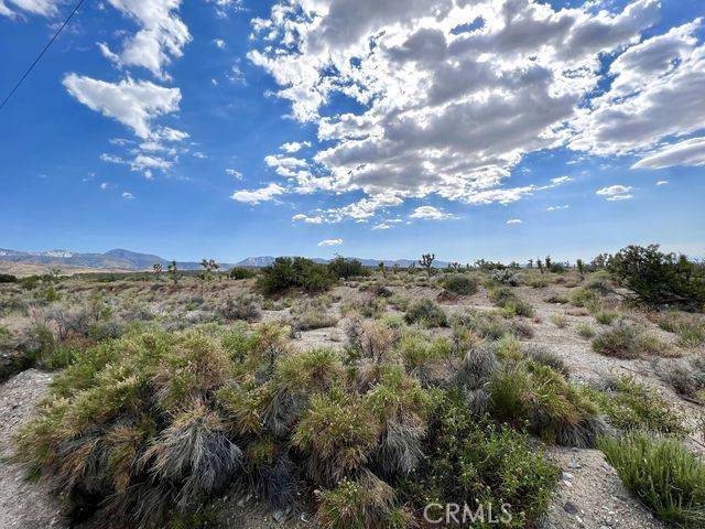 Llano, CA 93544,0 Vac/Vic Avenue Y8/205 Ste