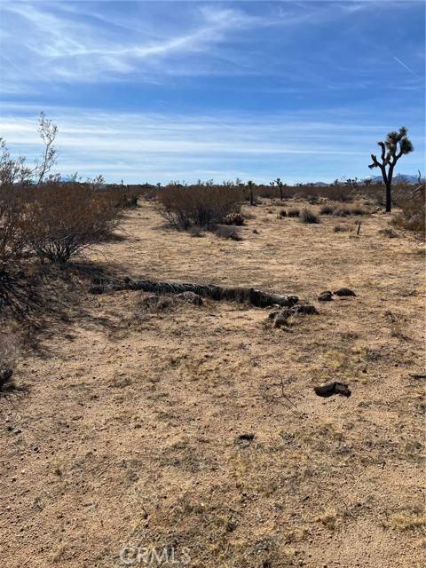 Joshua Tree, CA 92252,0 Fairmount