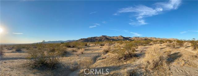 Joshua Tree, CA 92252,29 Palms