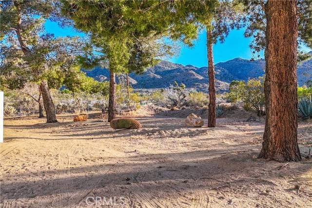 Joshua Tree, CA 92252,8173 Fleur Drive