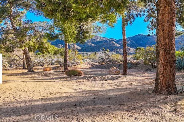 Joshua Tree, CA 92252,8173 Fleur Drive
