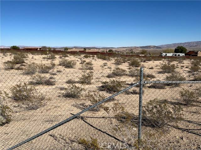 Joshua Tree, CA 92252,0 Cypress