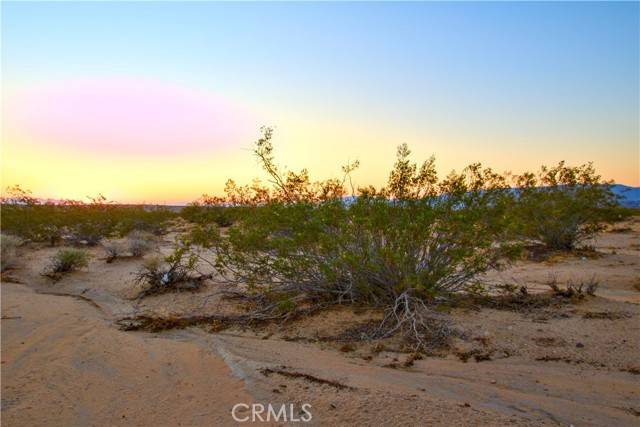 Joshua Tree, CA 92252,1475 Windsong
