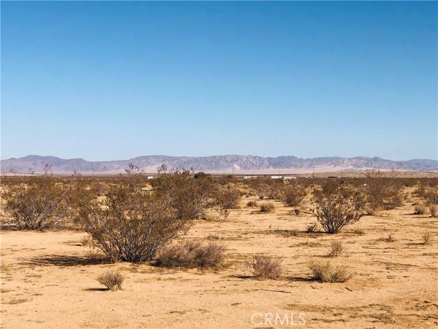 Joshua Tree, CA 92252,2 Venus