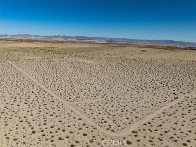 29 Palms, CA 92277,0 Pampas