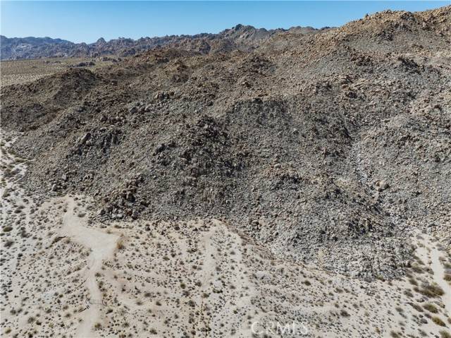 29 Palms, CA 92277,0 Jackass