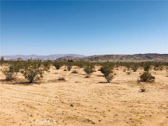 Landers, CA 92285,2 Geronimo