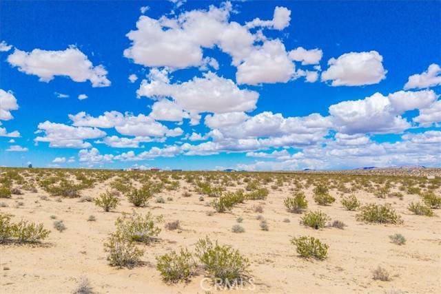 Joshua Tree, CA 92252,63 Lucille