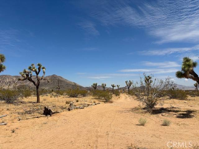 Landers, CA 92284,0 Mitch