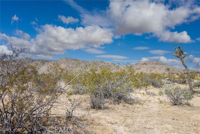 Joshua Tree, CA 92252,4444 Skyline