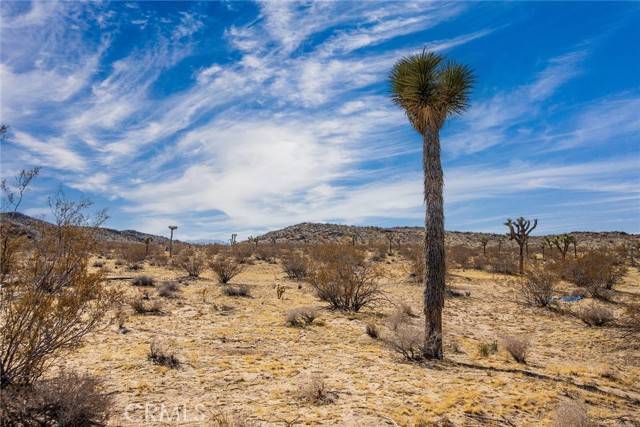 Landers, CA 92285,4 Burke