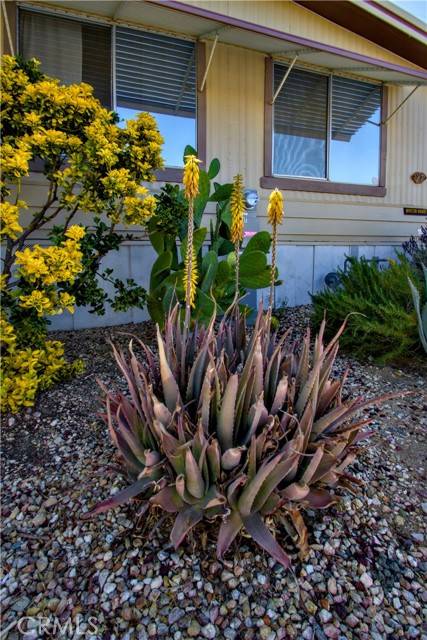 Yucca Valley, CA 92284,7425 Church Street #97