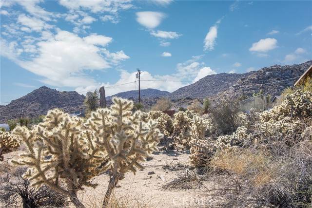 Joshua Tree, CA 92252,4444 Navajo