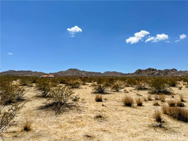 Joshua Tree, CA 92252,5 Sunfair